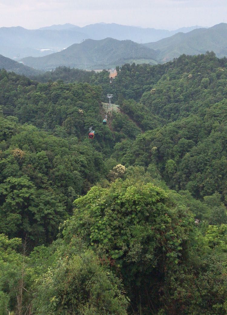 全南天龙山景区 桥