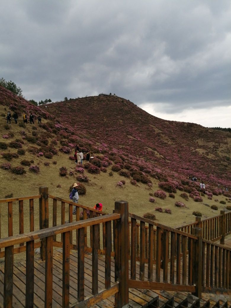 马鹿塘花海景区                     地址:云南省昆明市禄劝彝族苗族