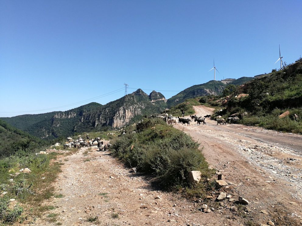 鹤度岭明长城遗织