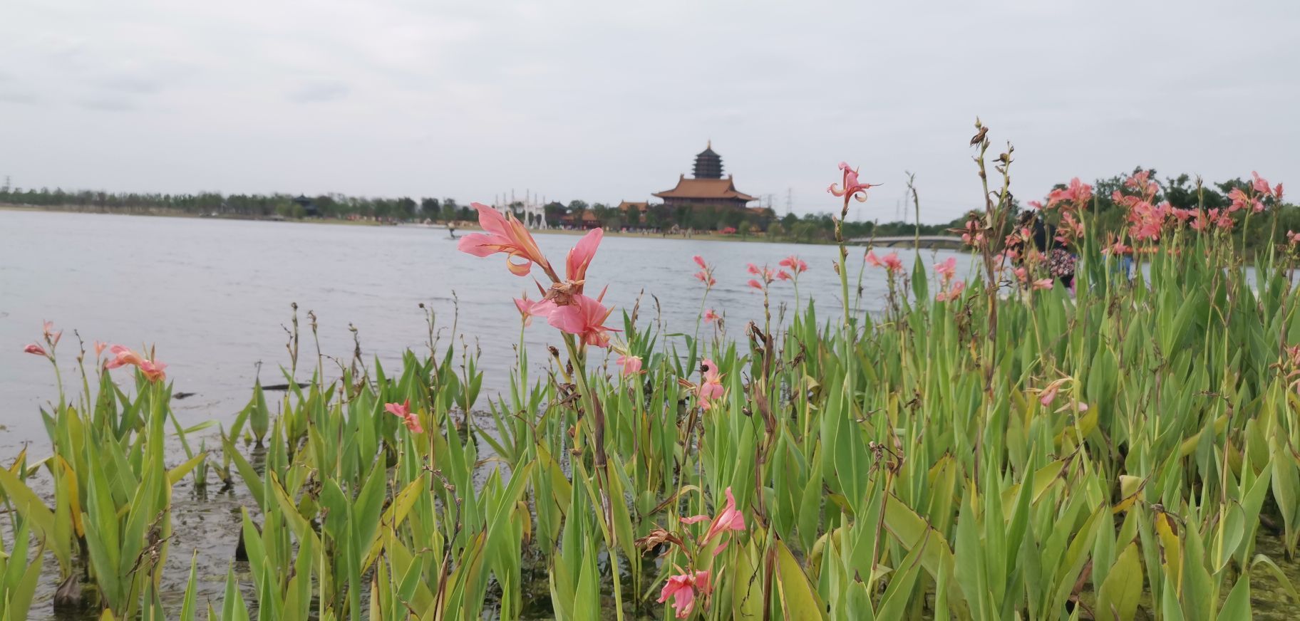 凤栖湖景区