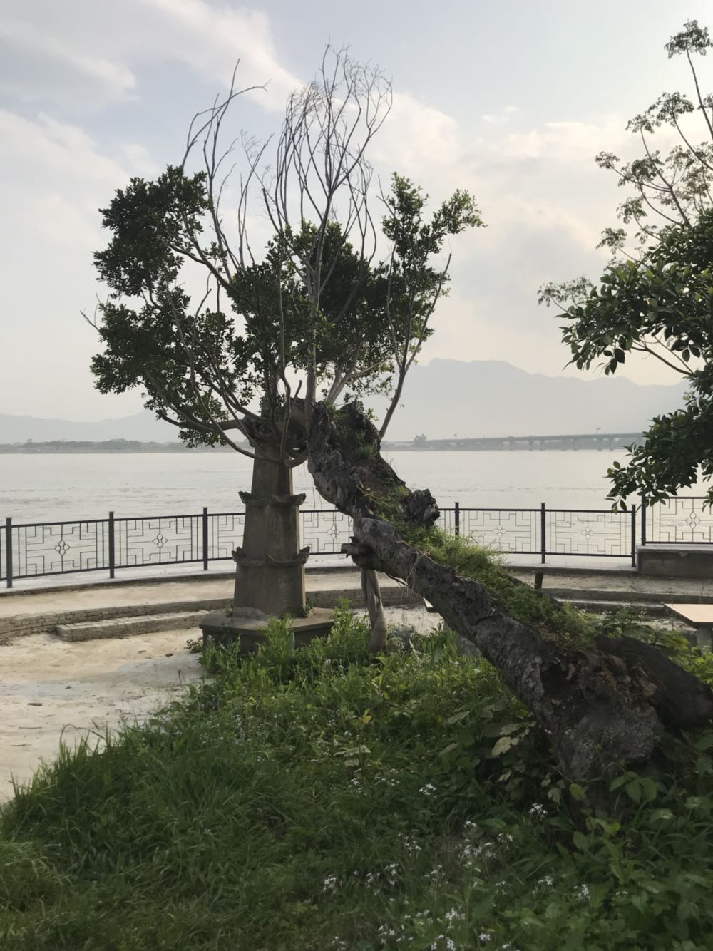 公园 地址:福建省福州市仓山区店前村(螺洲大桥