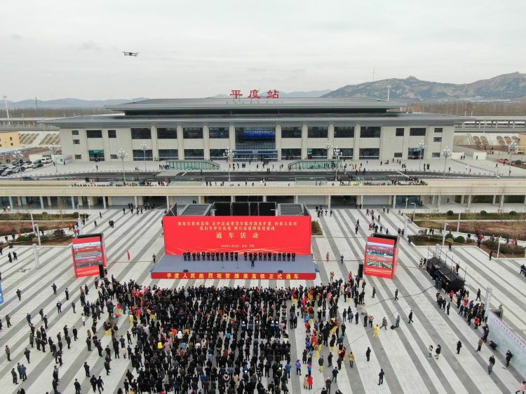 山东省青岛市平度市