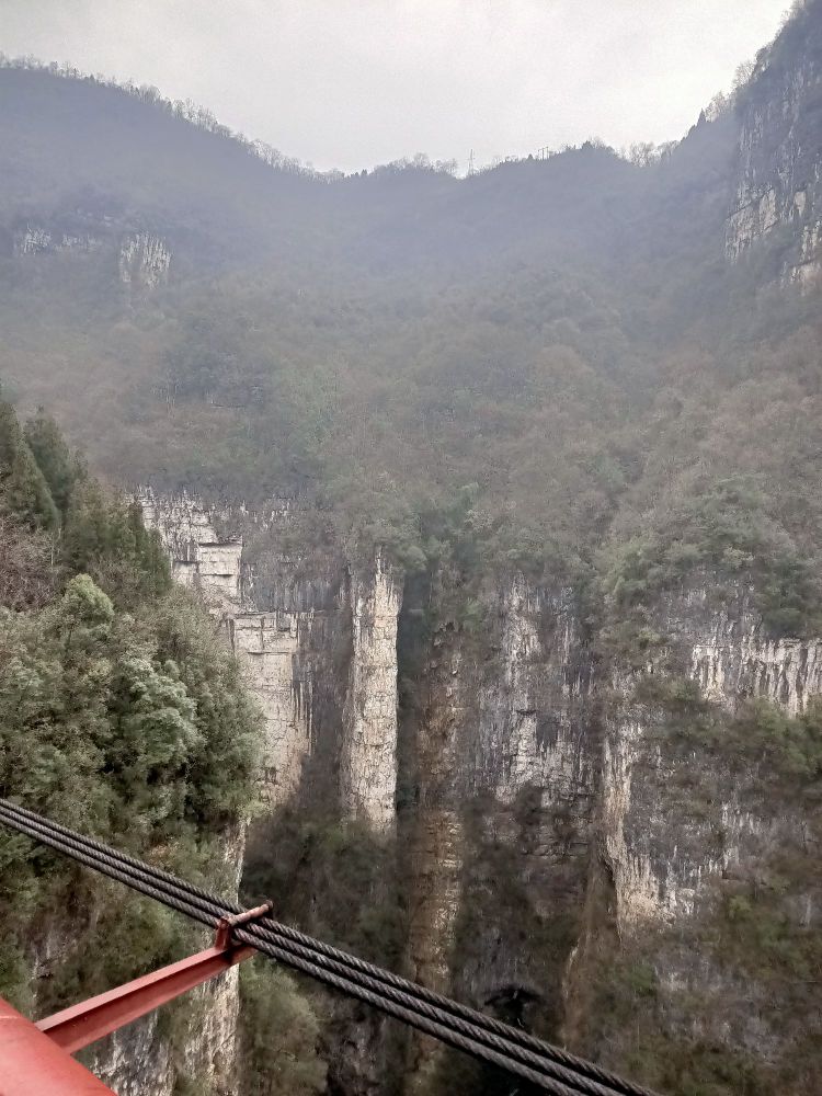 长阳土家族自治县 标签: 风景区 旅游景点  兰草谷风景共多少人浏览