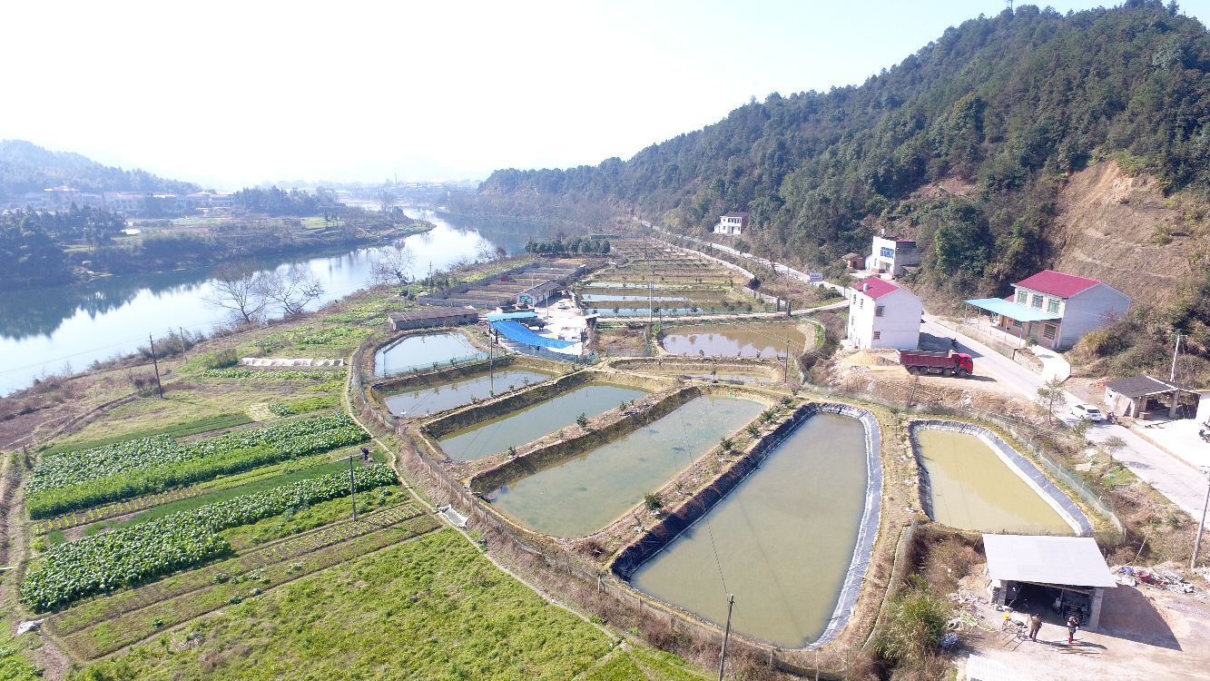 双江村地名网_湖南省长沙市浏阳市高坪镇双江村资料简介