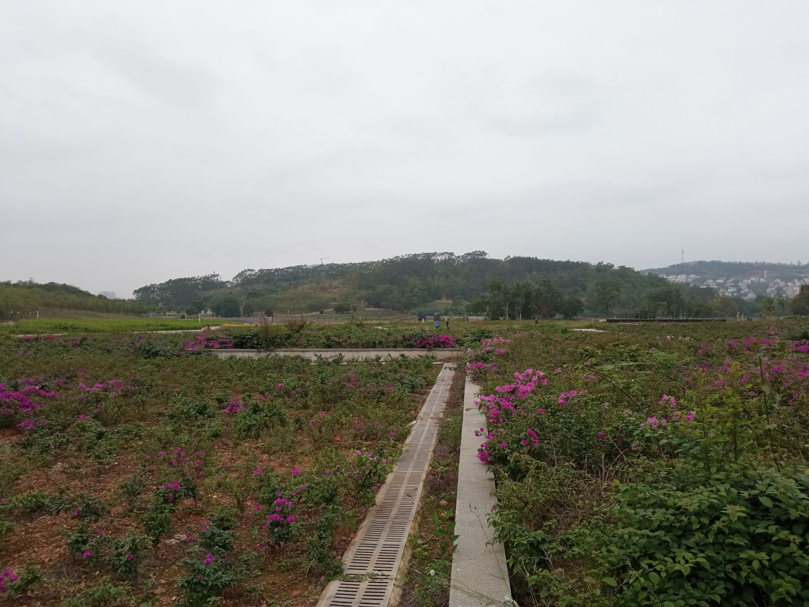 龟山滨江公园_南宁_百度地图