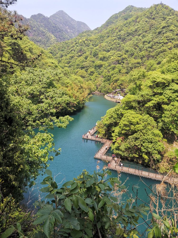 祁门县 标签: 风景区 旅游景点 4a风景区  祁门牯牛降风景区共多少人