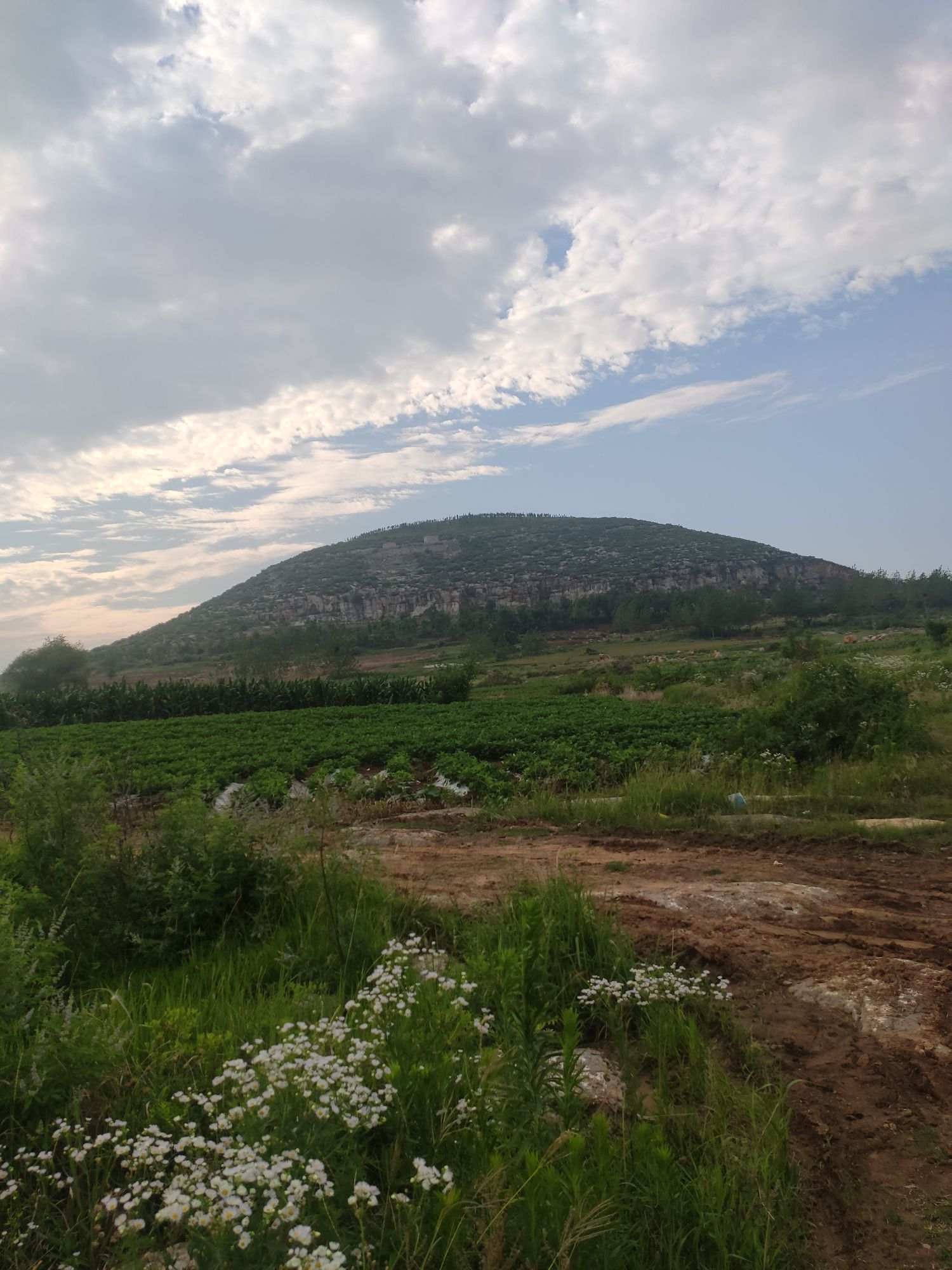 邳州市 标签: 自然地物 培训机构 教育培训  寨山共多少人浏览