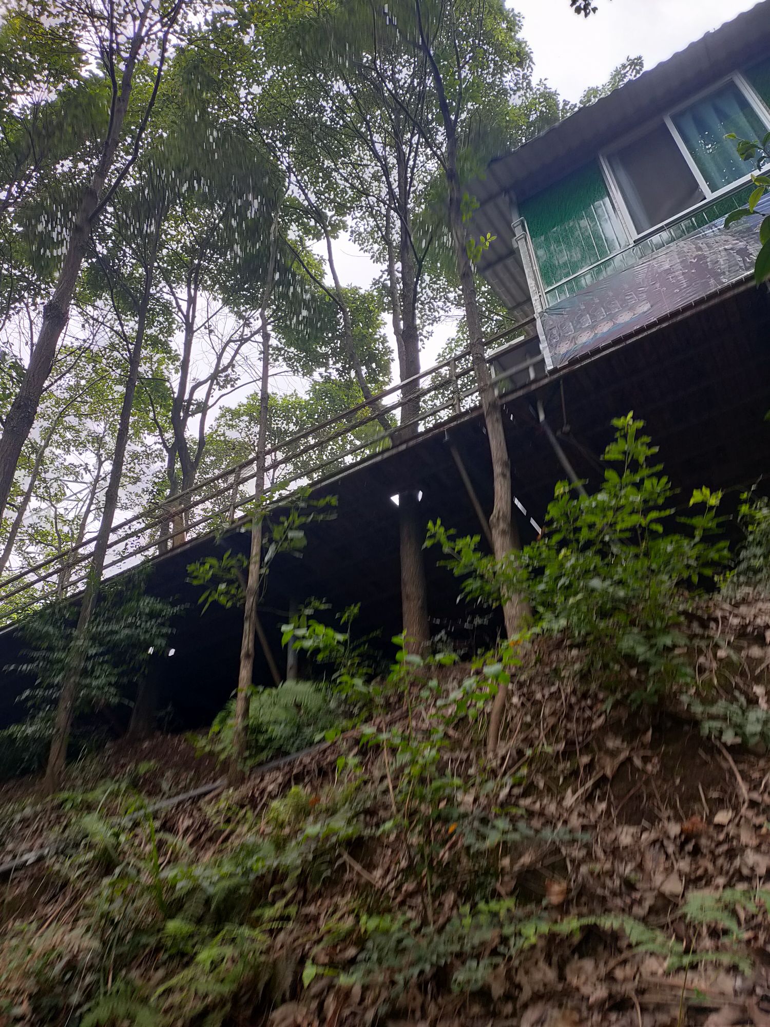 沙湾区 标签: 旅游景点 游乐园  乐山山水世界景区共多少人浏览