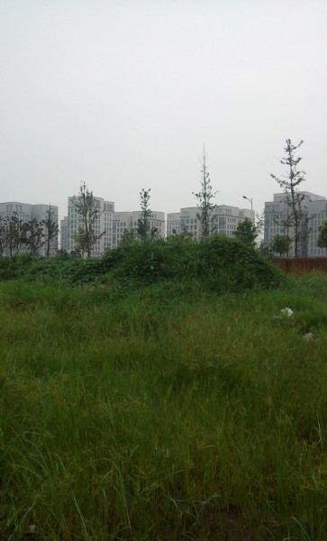 安徽省滁州市凤阳县板桥镇307省道北(阳光幼儿园附近)周边便利店凤阳
