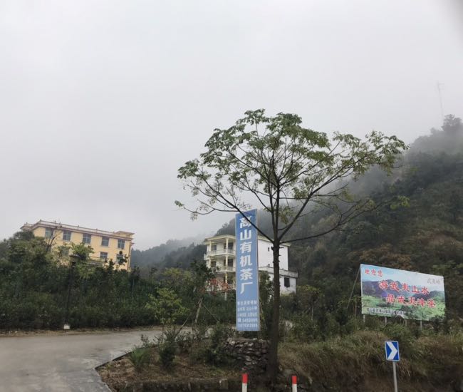 江西省上饶市铅山县武夷山镇所有主城区