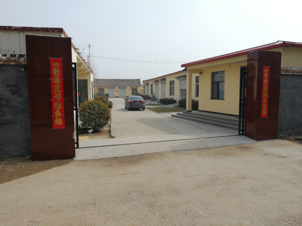 菏泽市曹县郑庄街道办事处高堤圈村东