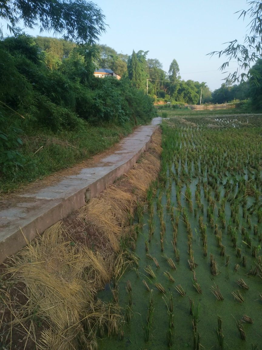 大地村地名网_四川省自贡市富顺县李桥镇大地村资料简介