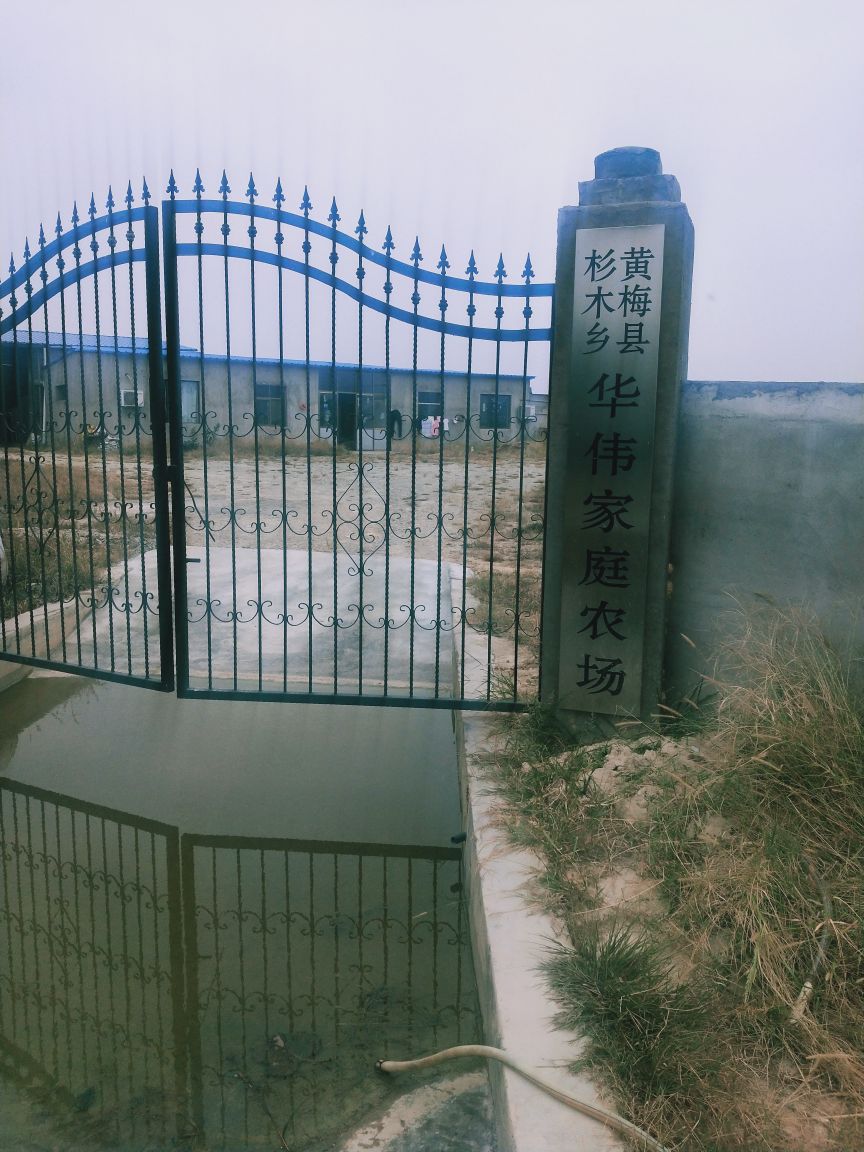 湖北省黄冈市黄梅县