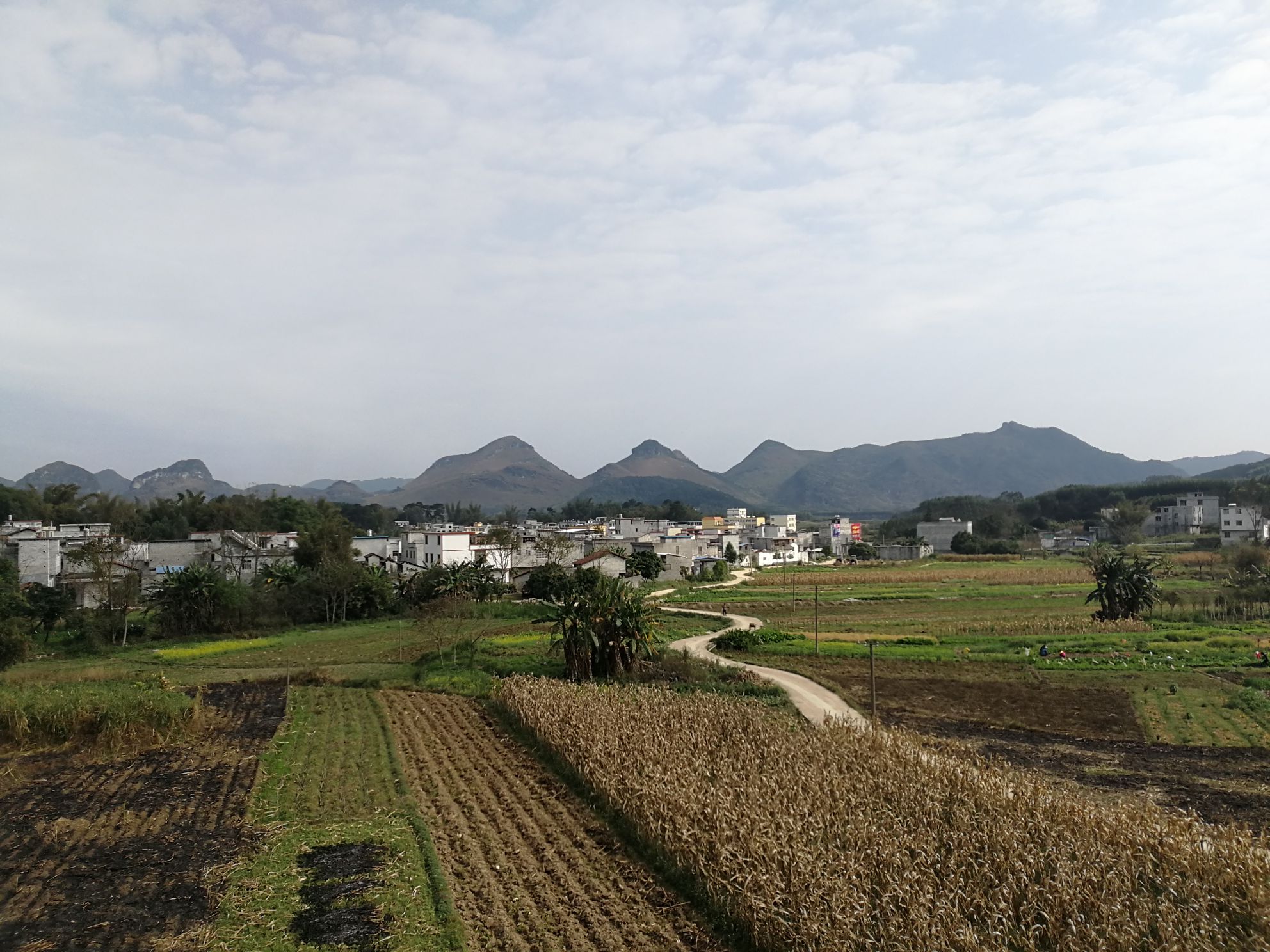 甘豆村地名网_广西壮族南宁市马山县林圩镇甘豆村资料简介