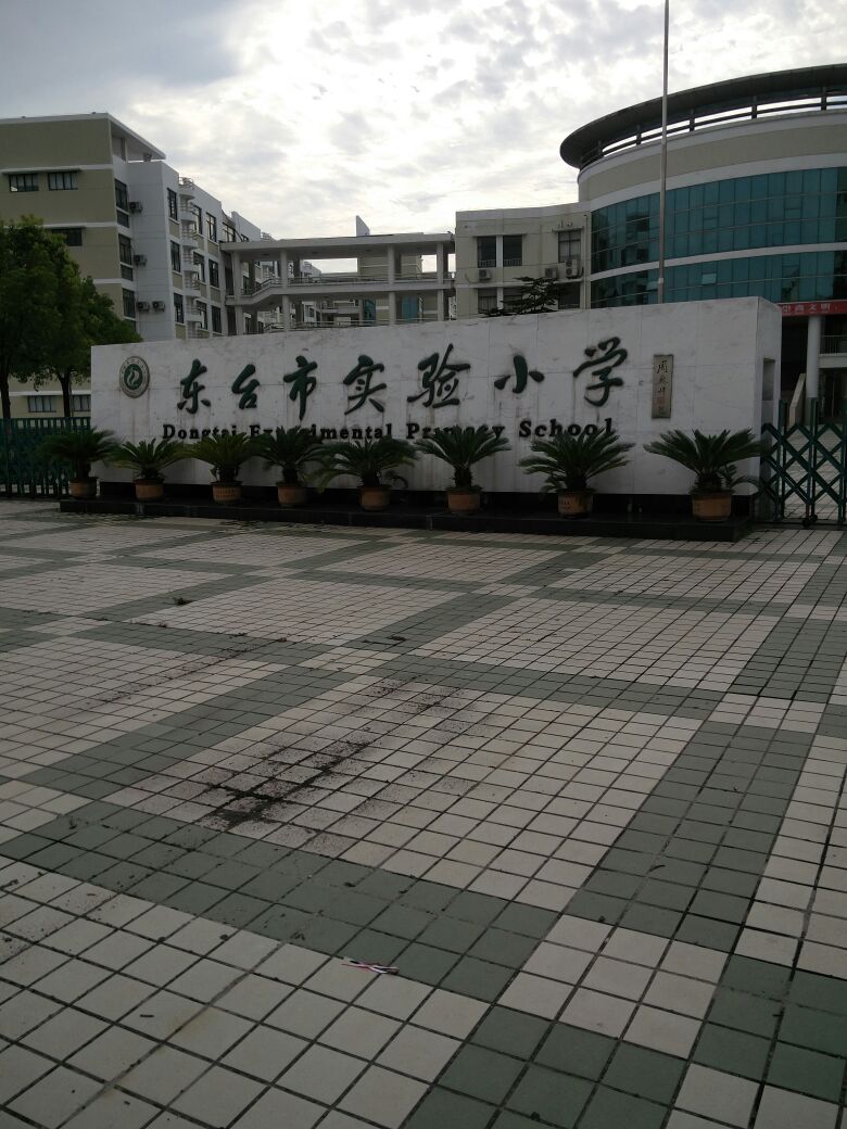 东台镇实验小学(九龙路)