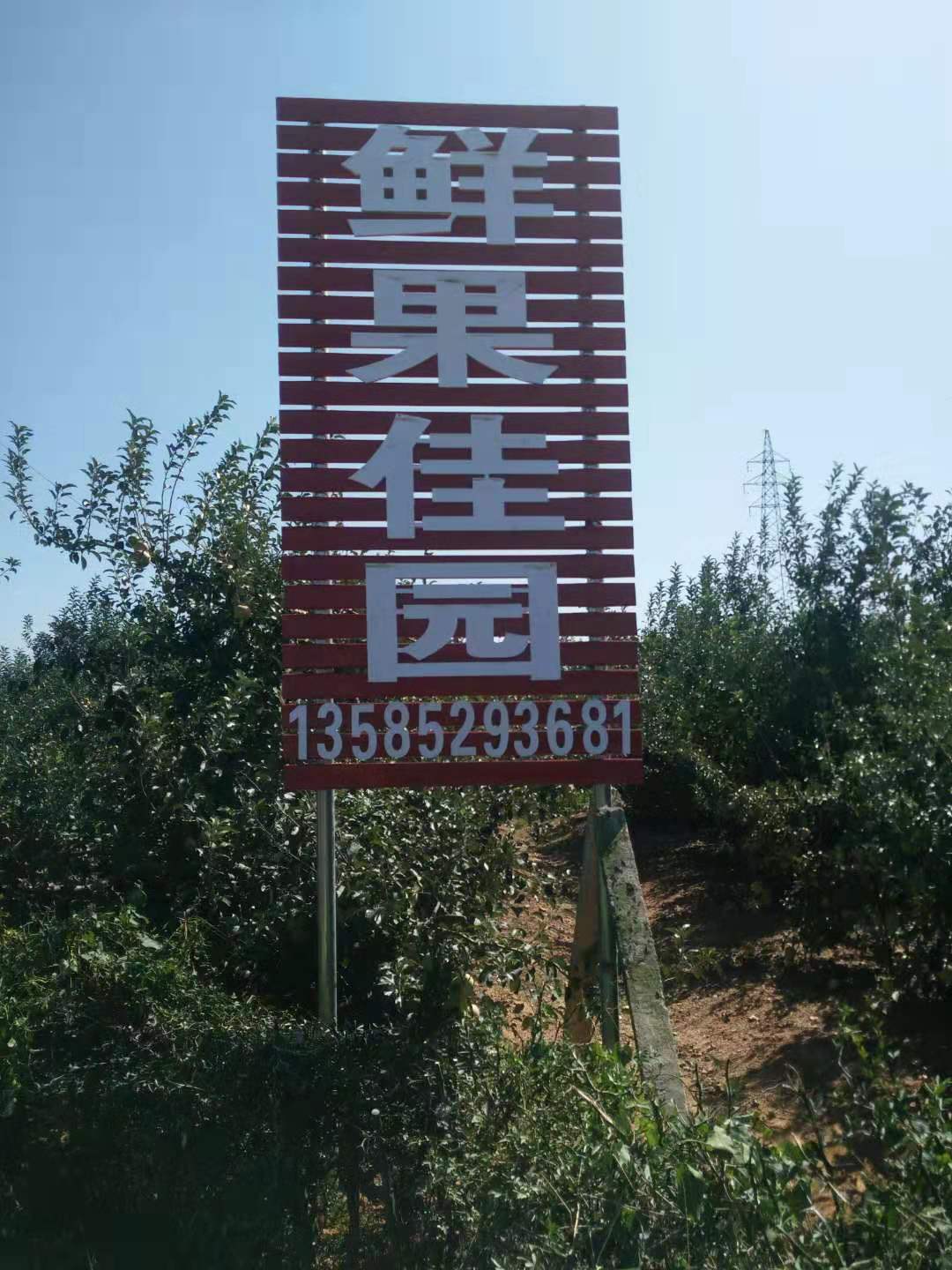 连云港市赣榆区石桥镇大温庄村