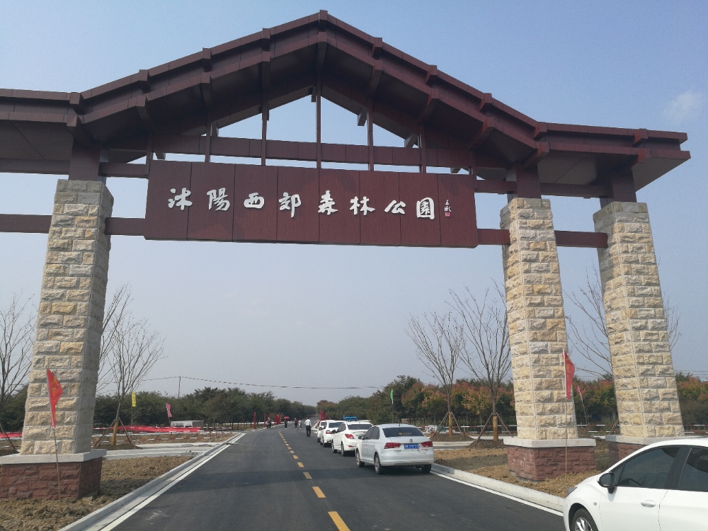 沭阳西郊森林公园