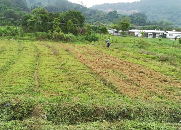 双田村地名网_广东省惠州市惠阳区秋长街道双田村资料简介