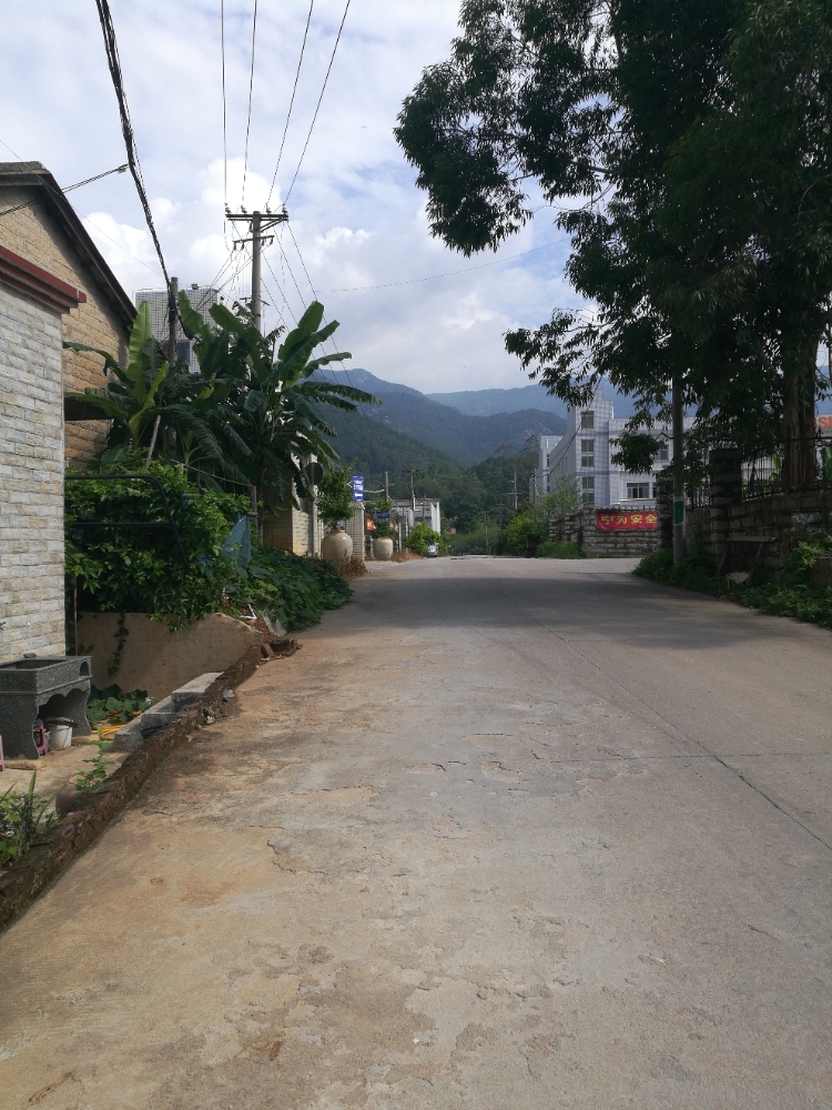 竹坝社区地名网_福建省厦门市同安区竹坝华侨农场(竹坝华侨经济开发区