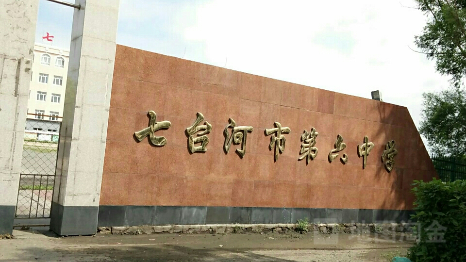 黑龙江省七台河市茄子河区第六中学(杨扬街北)