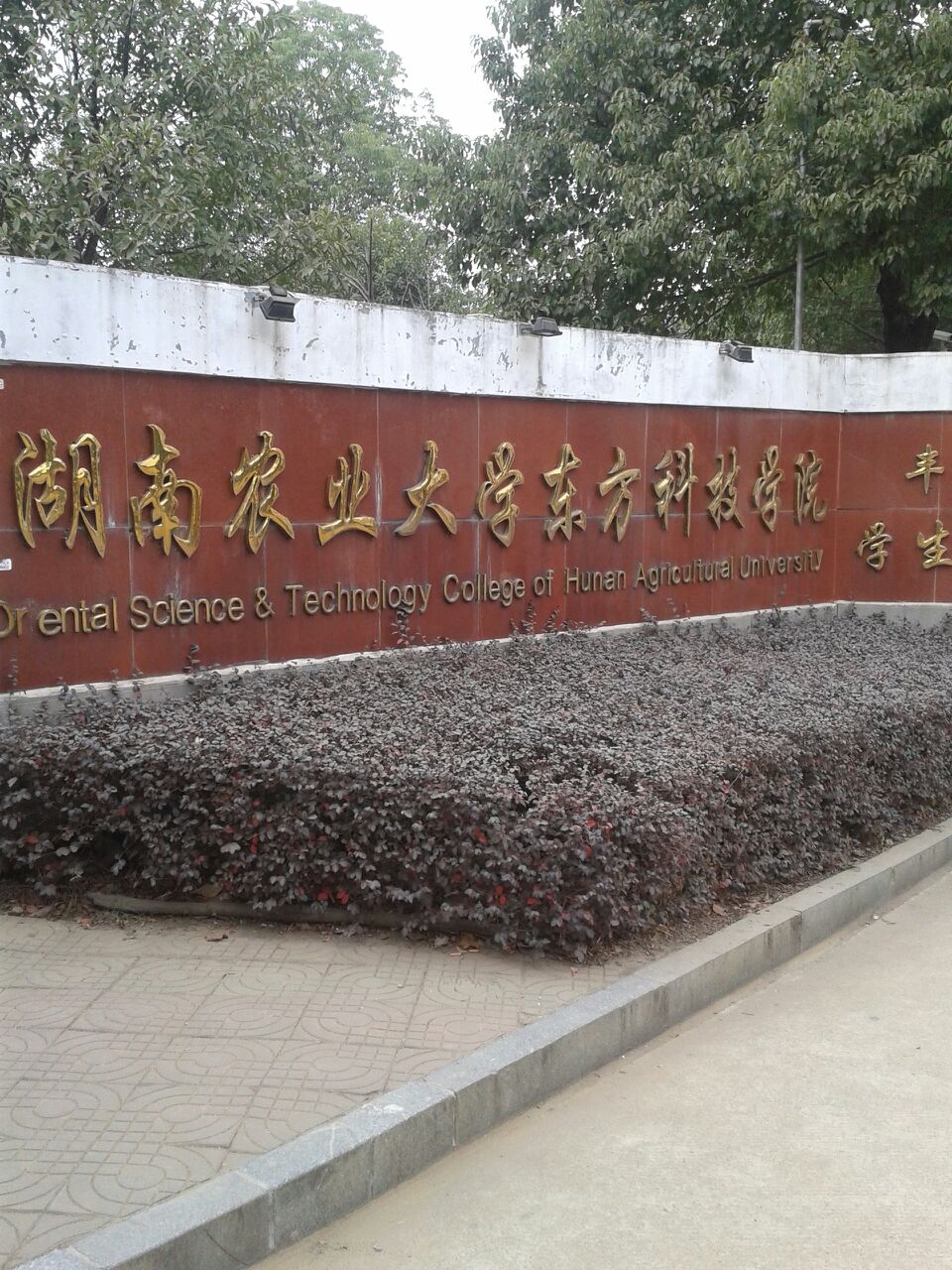 湖南农业大学-东方科技学院