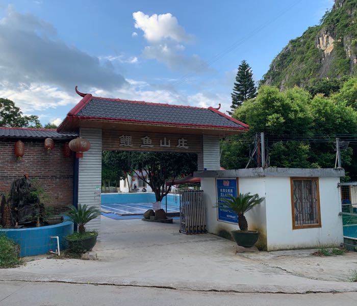 广西壮族自治区桂林市平乐县阳安乡阳安街