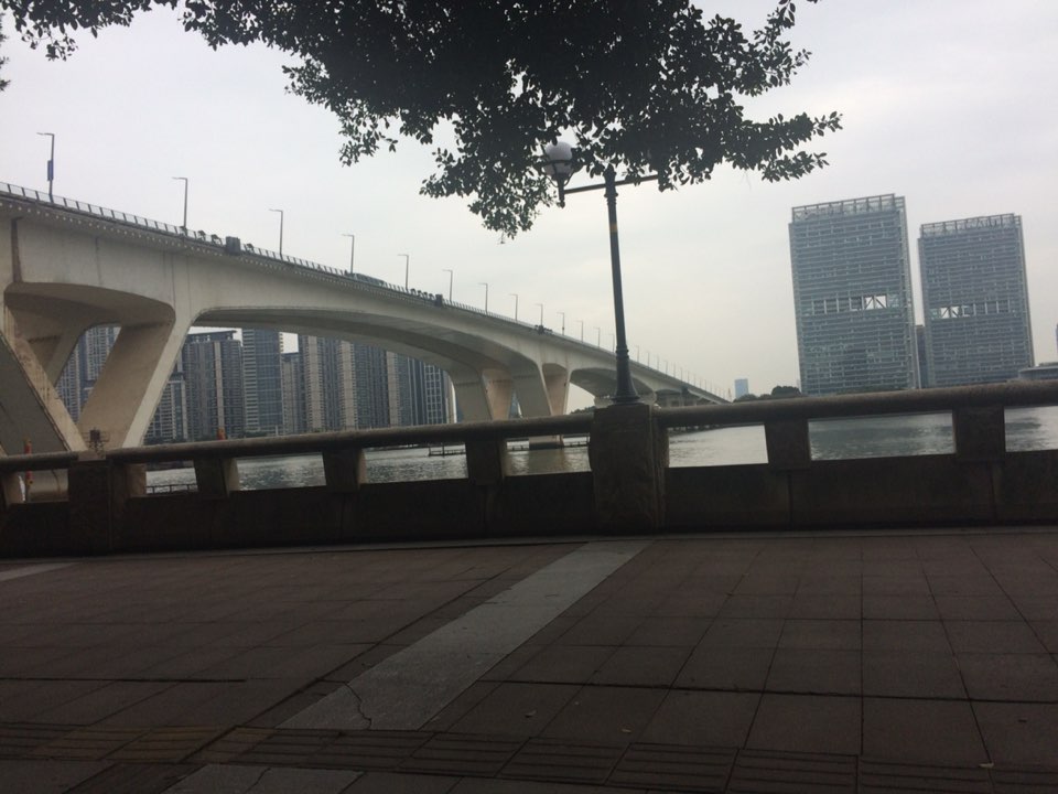 琶洲西南社区地名网_广东省广州市海珠区琶洲街道琶洲西南社区资料