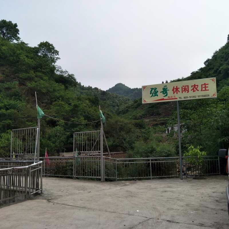 强哥休闲山庄