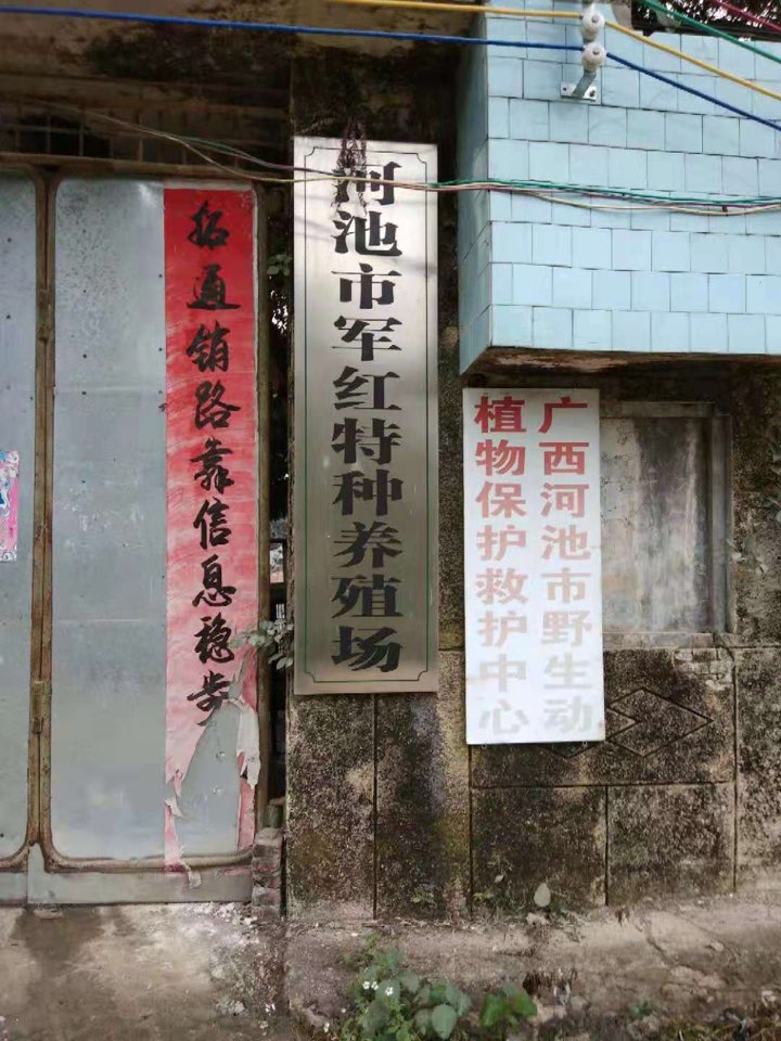 地址(位置,怎么去,怎么走 广西壮族自治区河池市金城江区东江镇加