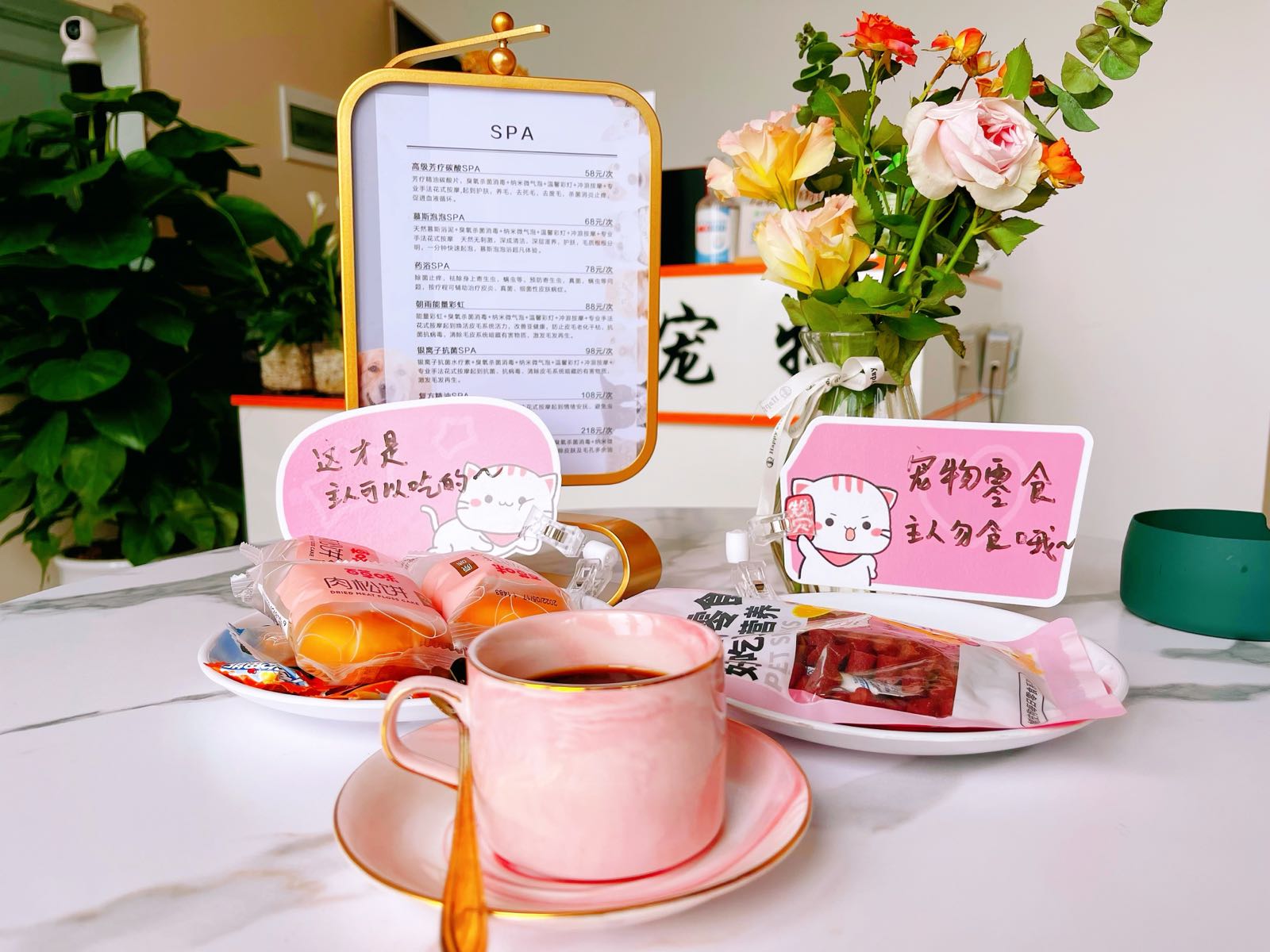 优莎宠物(酒城中心店)