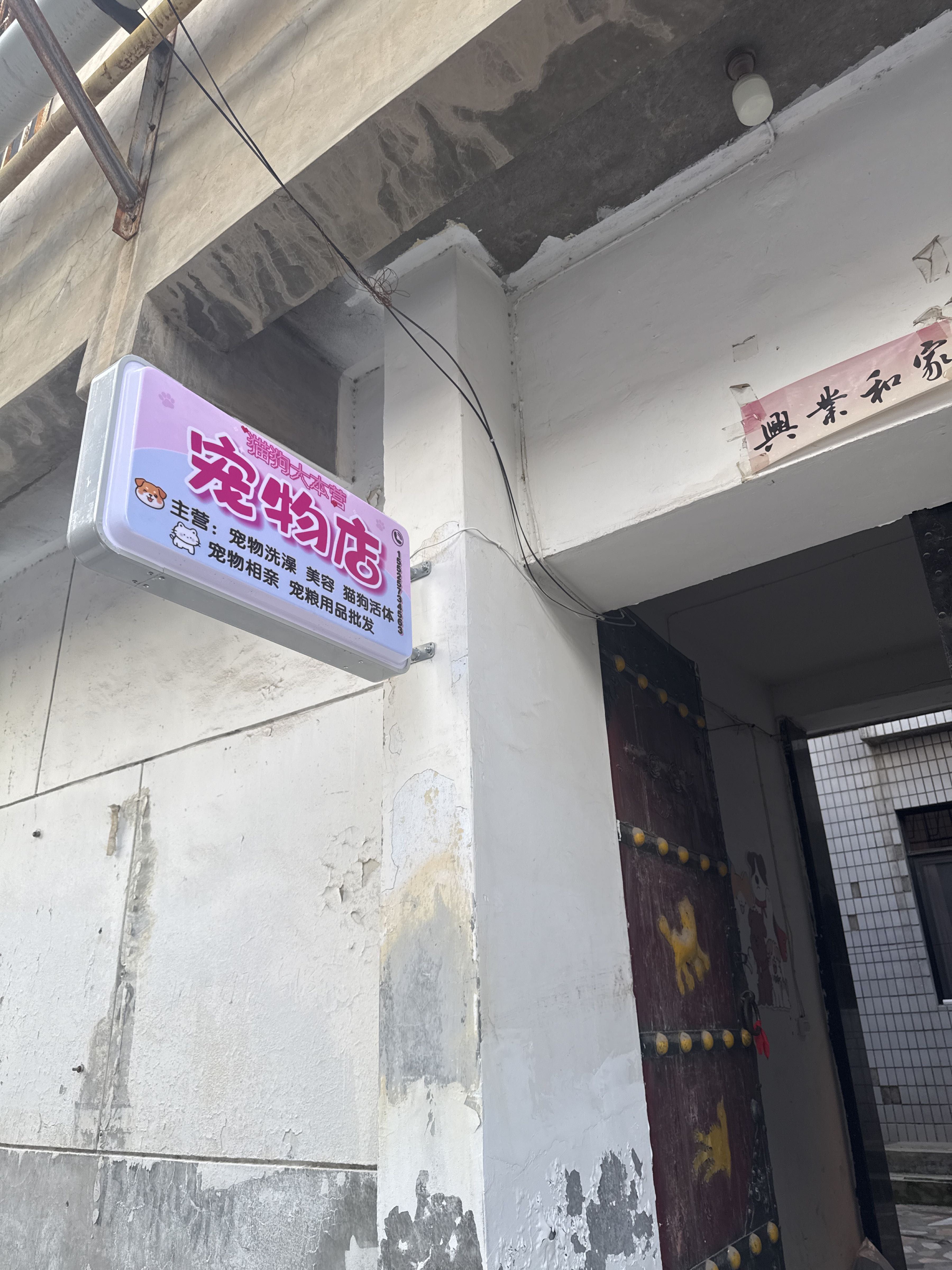 猫狗大本营宠物店