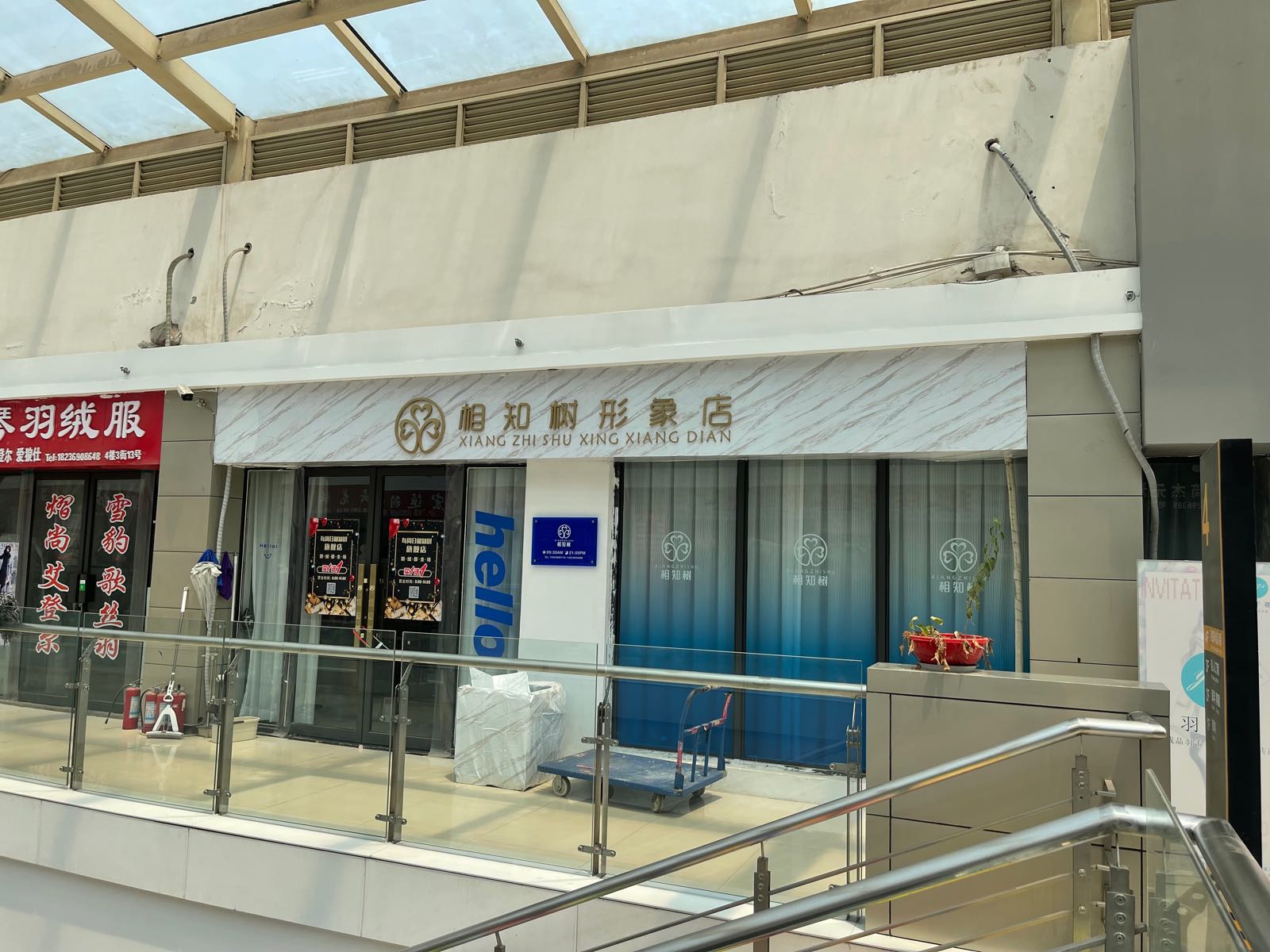 相知树旗舰店