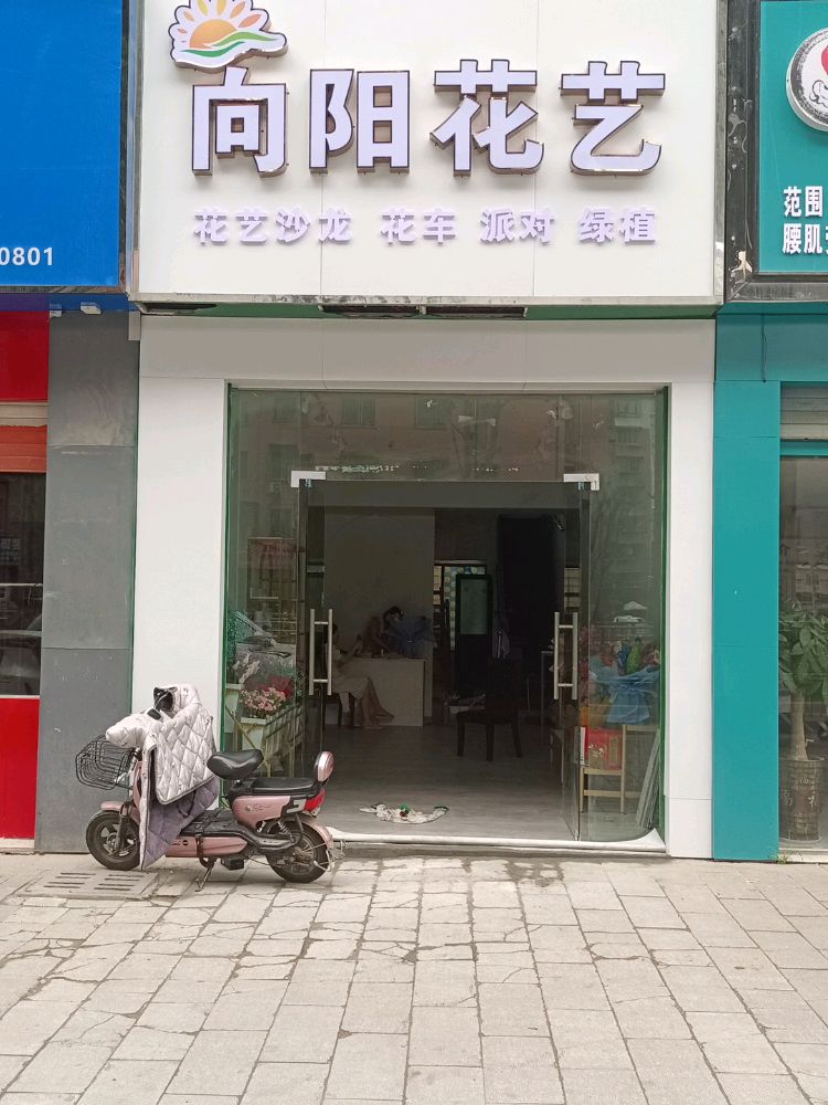 向阳花艺(清河路店)