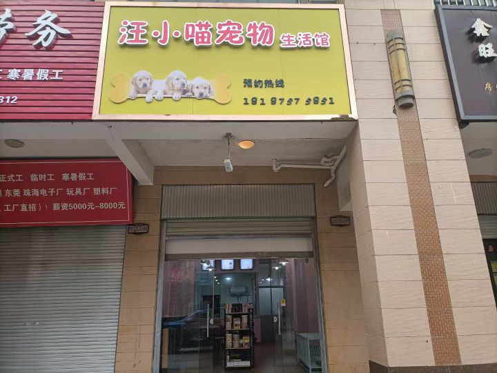 龙陵县汪小喵宠物生活馆(龙华路店)