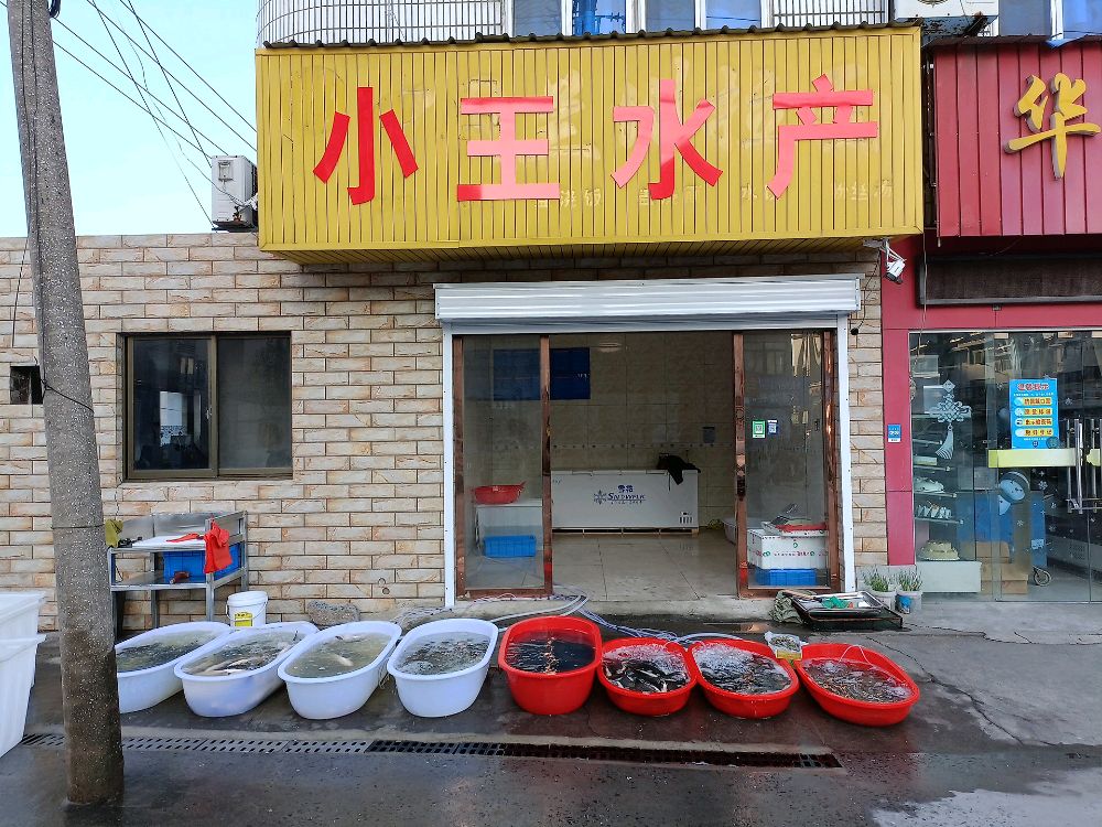 小王水产(朝阳路店)