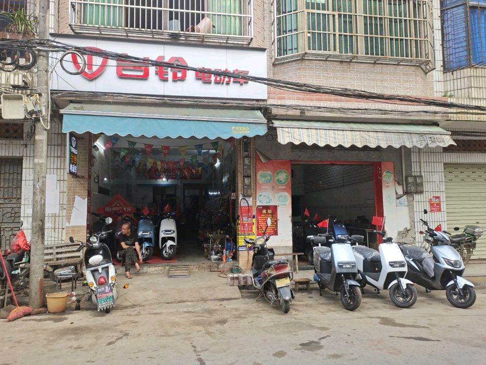 台铃电动车(文新街店)