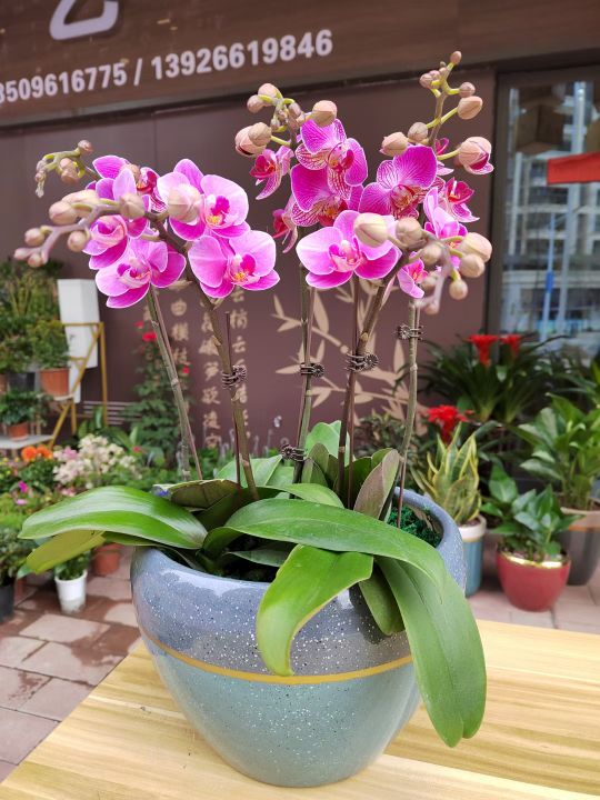 余香花艺(保利花园三期店)