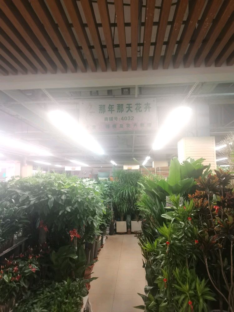 那年那天花卉(郑汴路店)