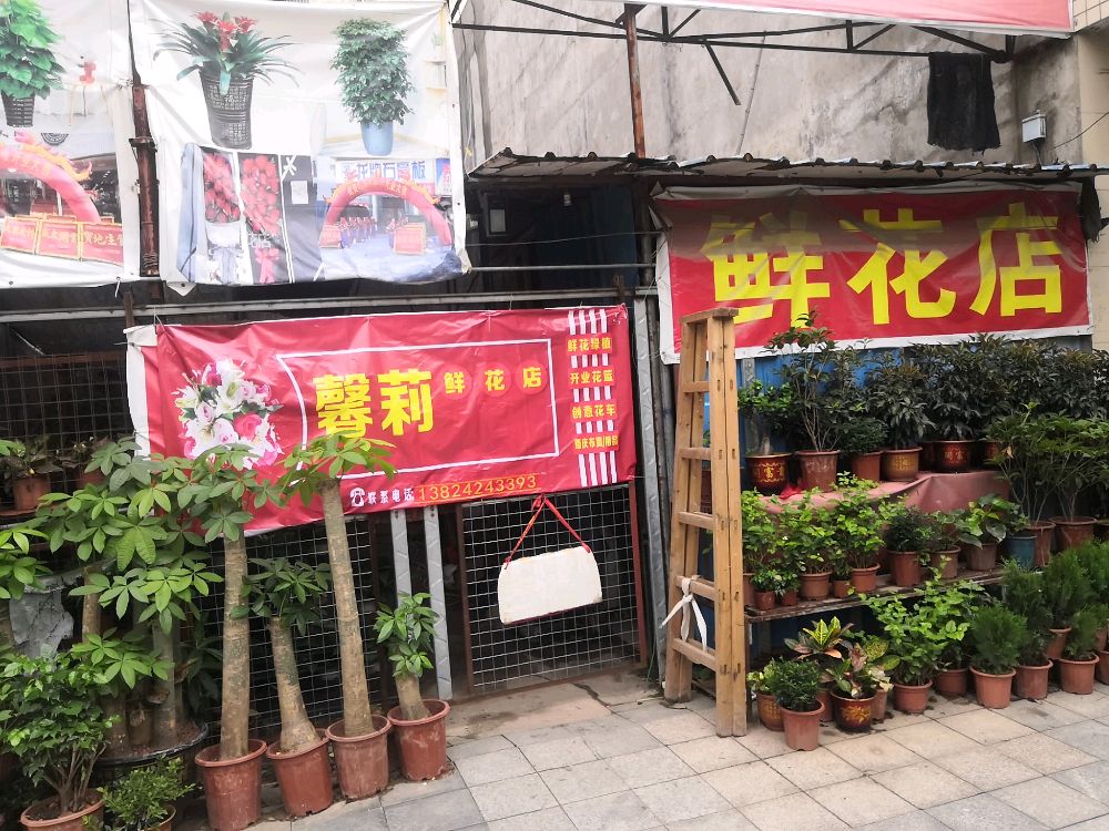 馨莉鲜花店