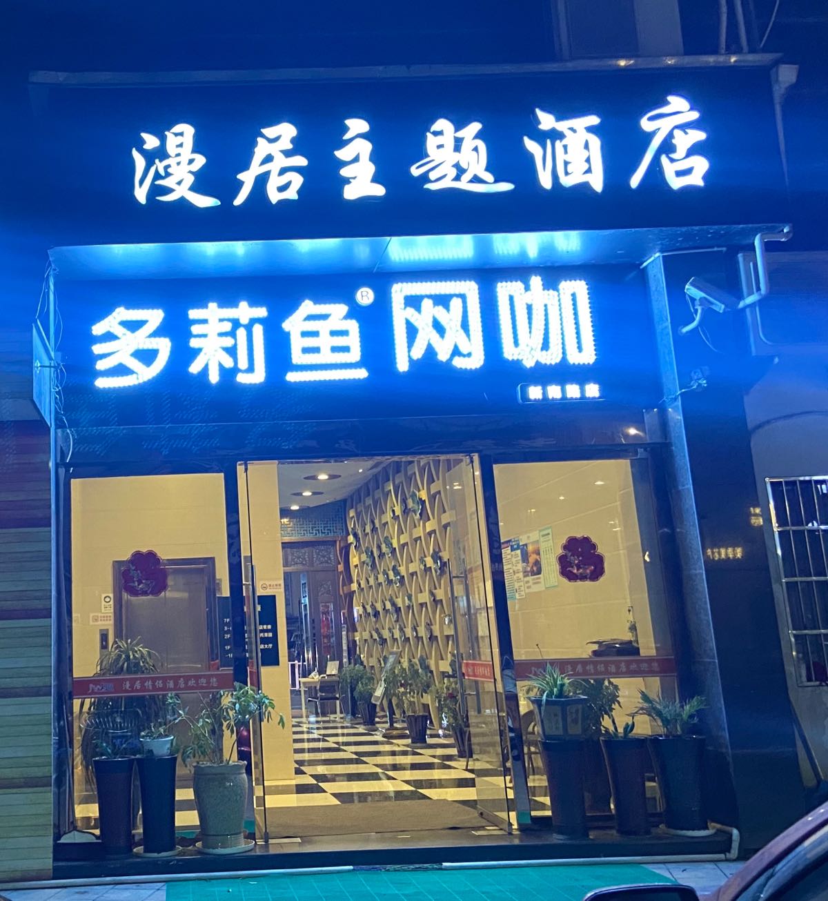 多莉鱼网卡(新南路店)