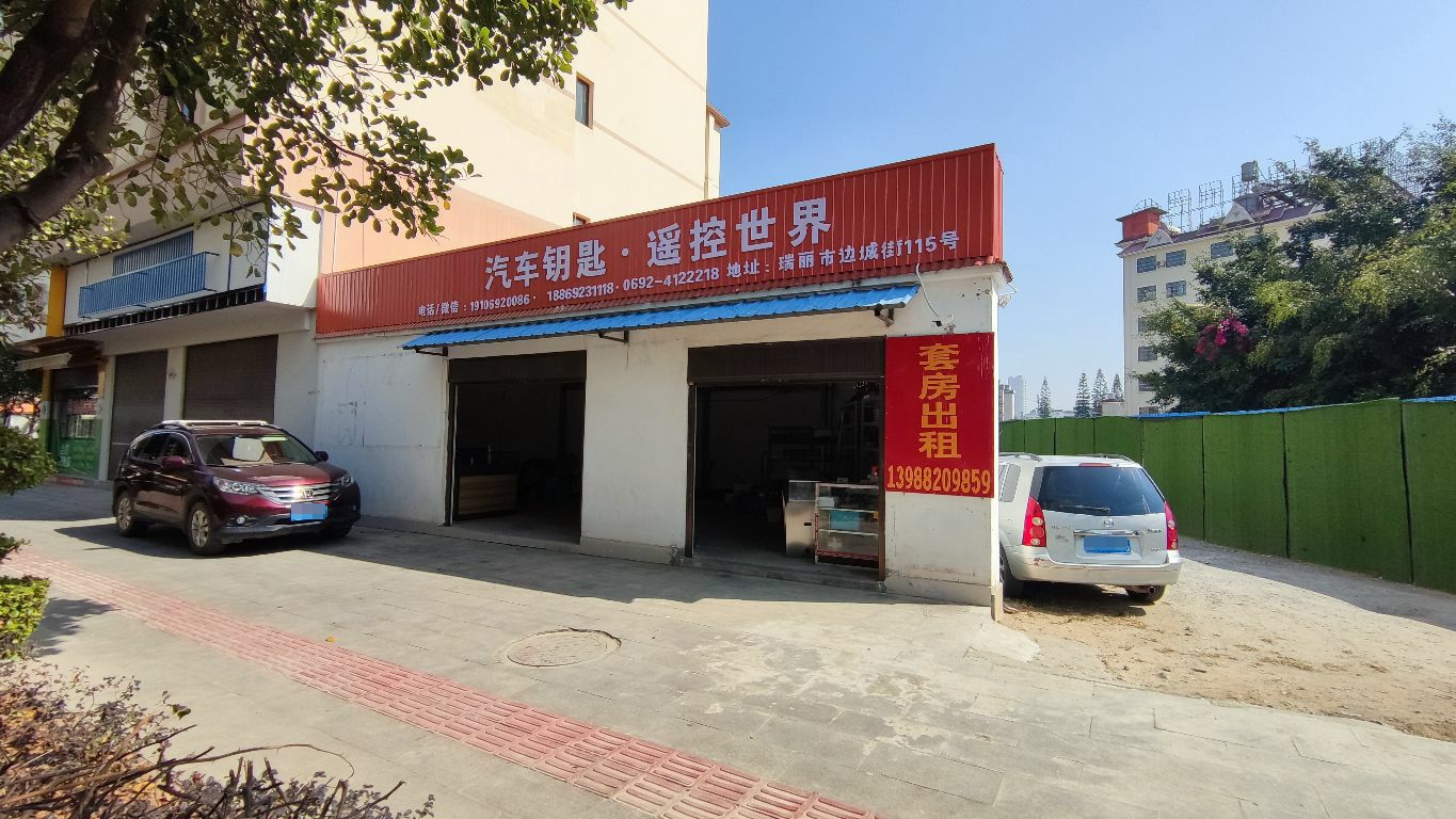 汽车钥匙遥控世界