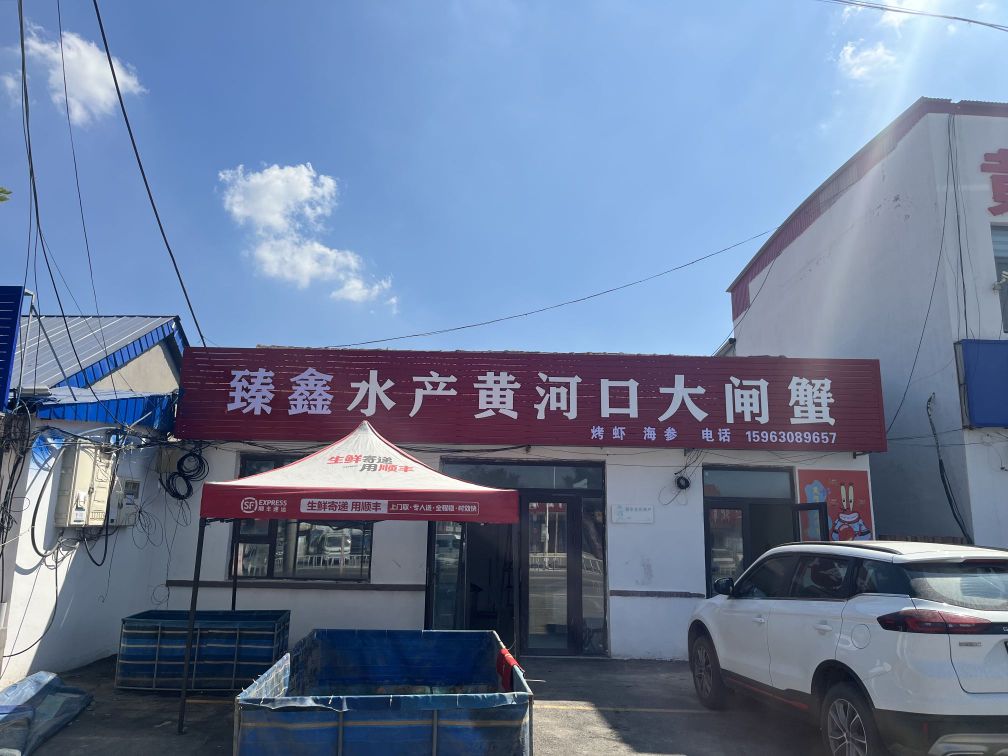 臻鑫水产黄河口大闸蟹