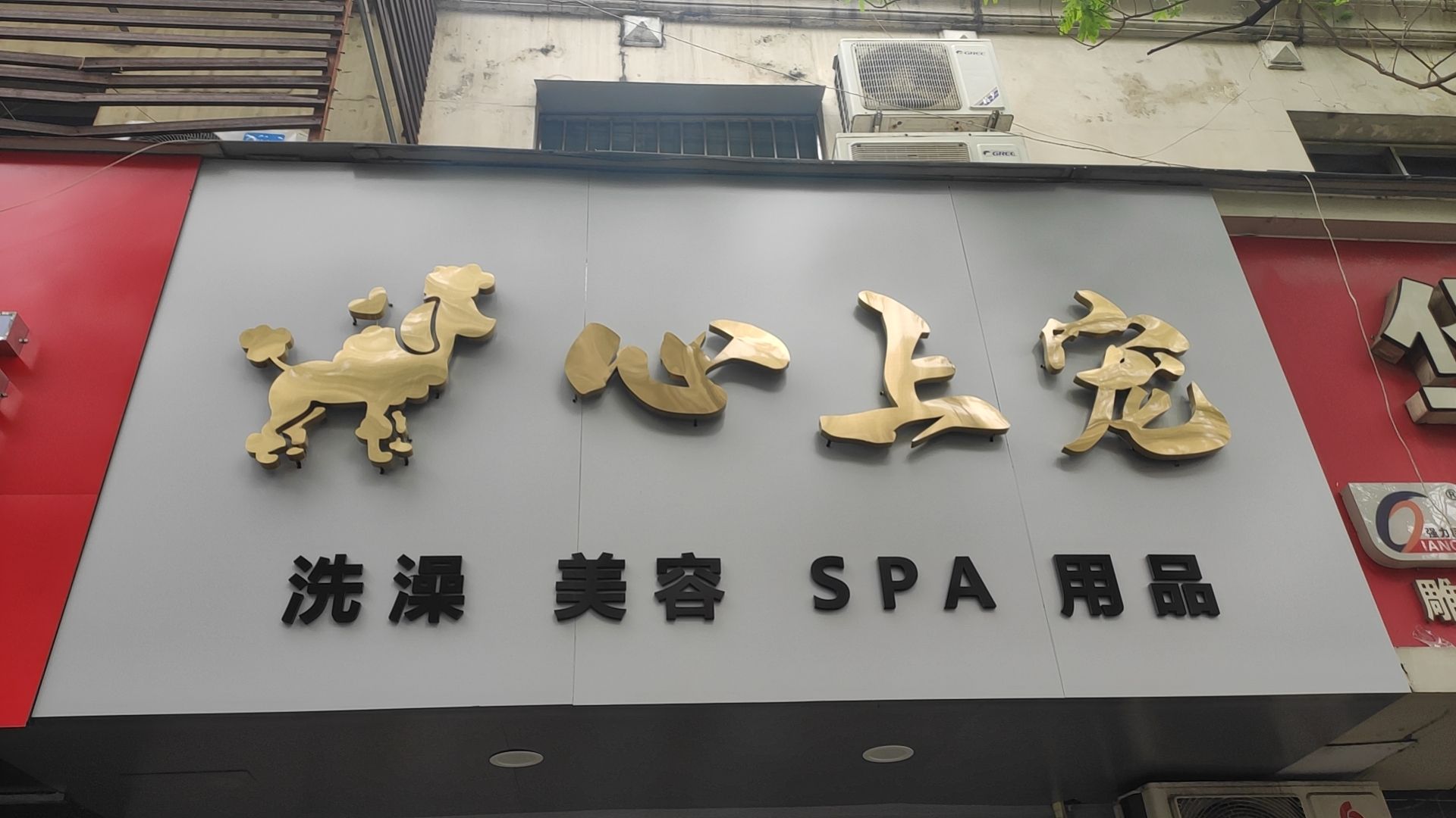 心上宠