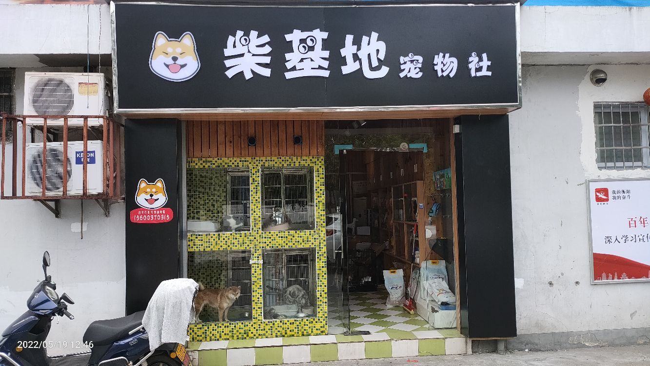 柴基地宠物