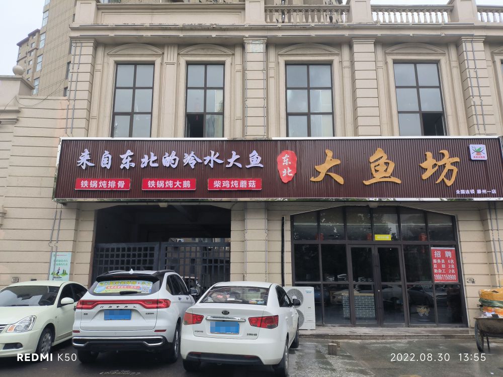 鲅颈鱼大北东羽坊