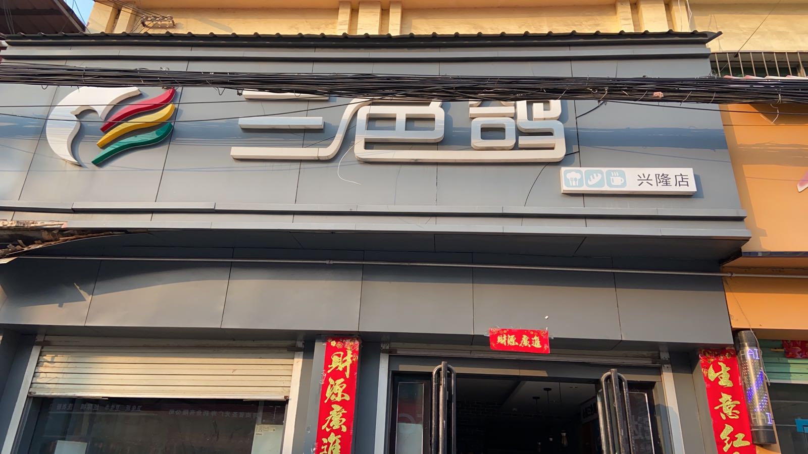 社旗县兴隆镇三色鸽(兴隆店)