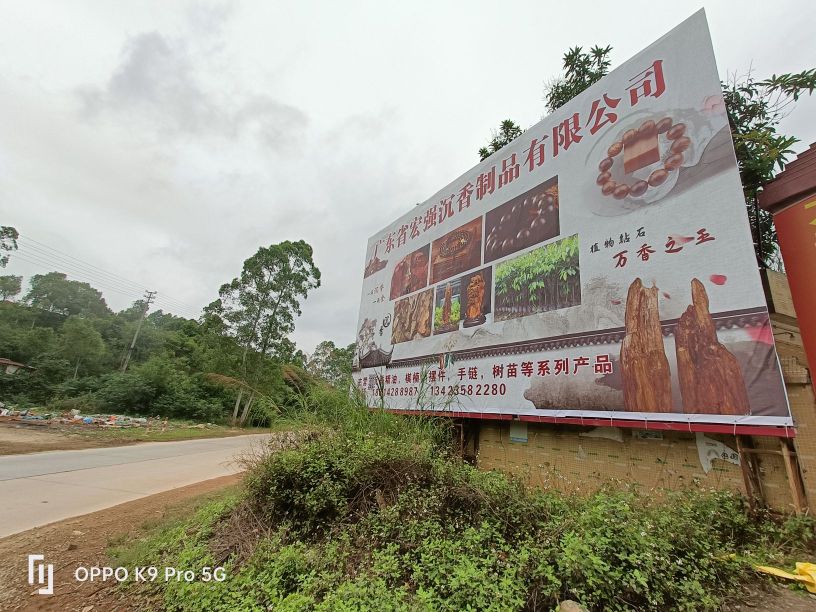 广东省宏强沉香制品有限公司