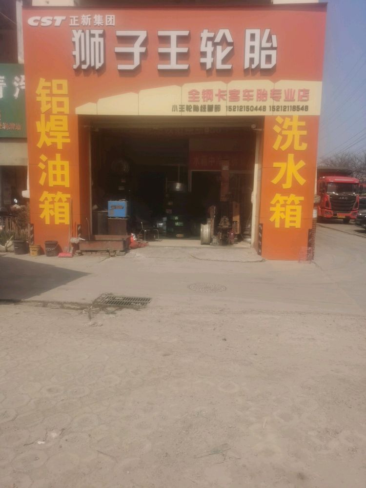 狮子王轮胎