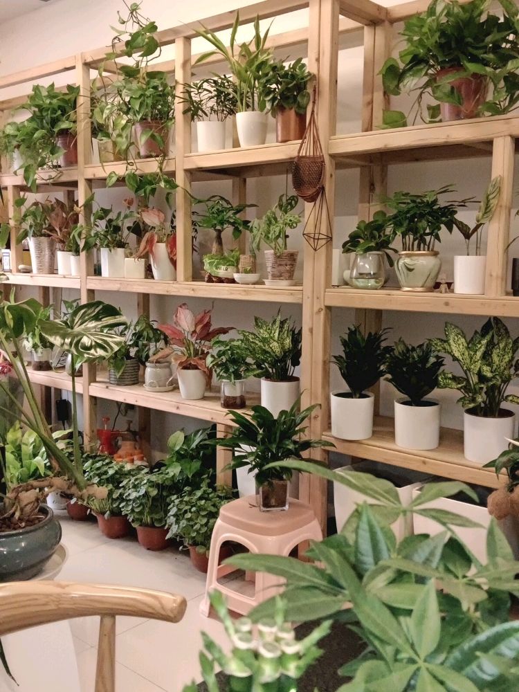 鲜花绿植租摆