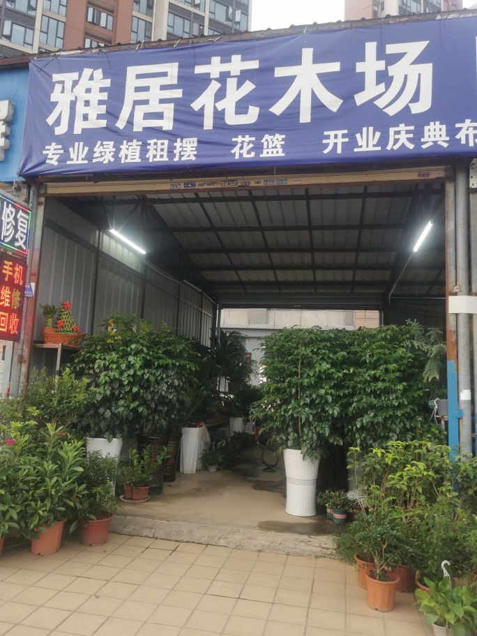 阿丽花店